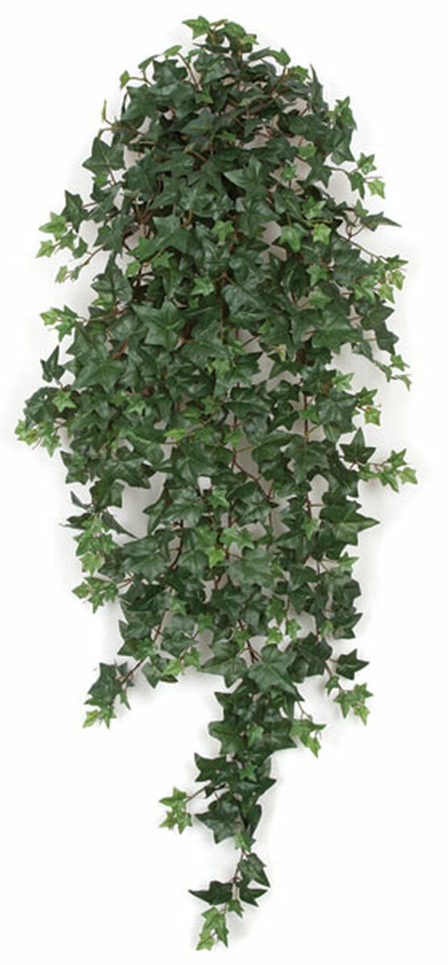 GREENERY, Ivy - Sage Ivy Bush 180cm 